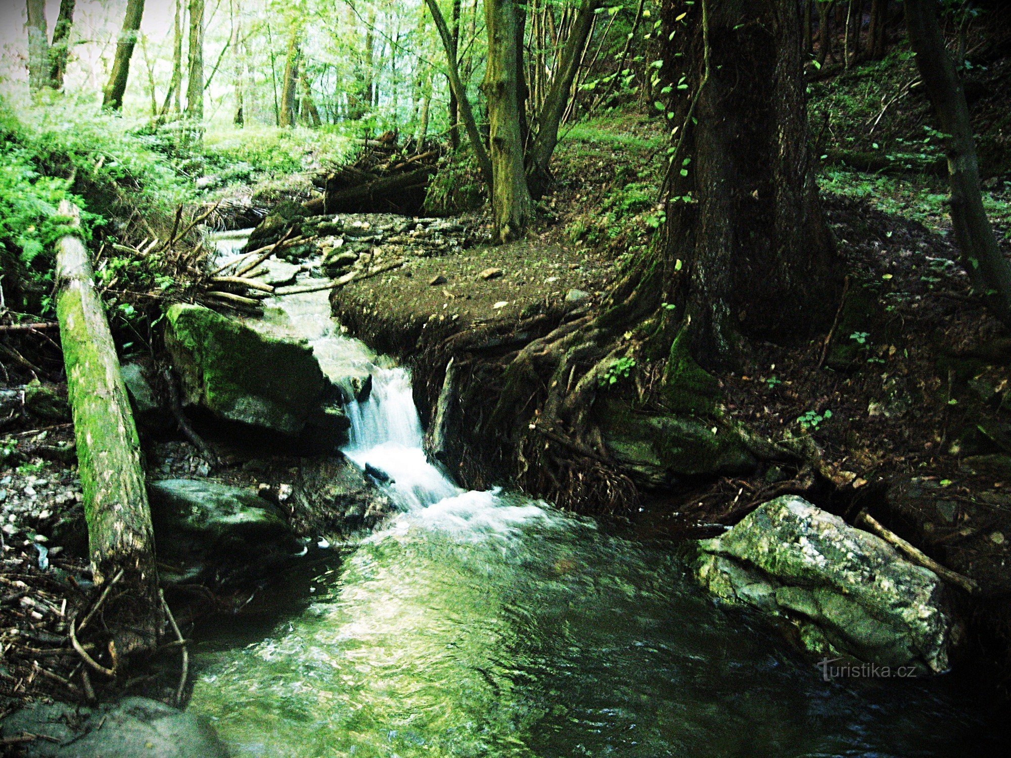 Cascada sub Mladoňov