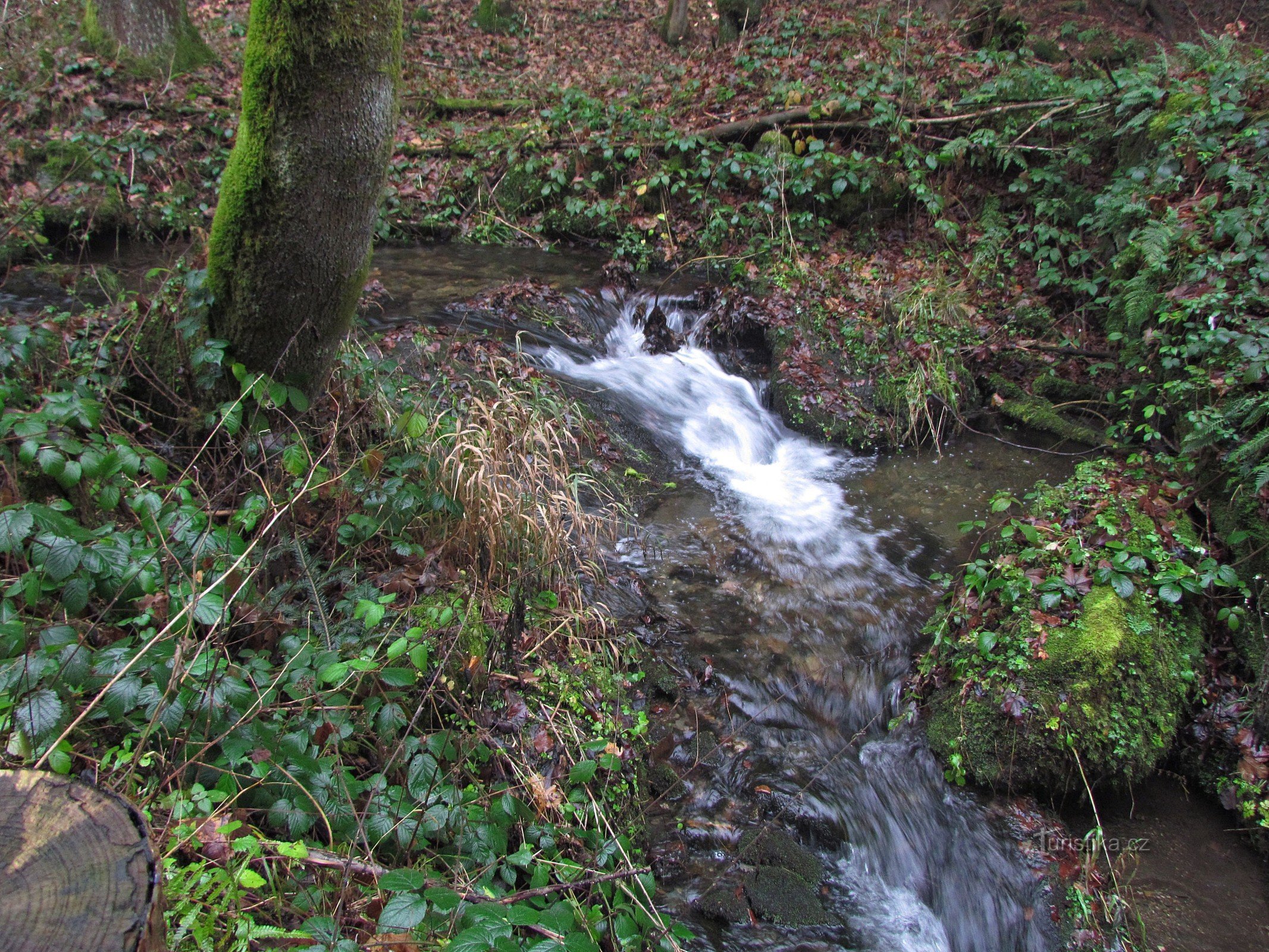 Kaskader og vandfald i Oskavy nad Bedřichov