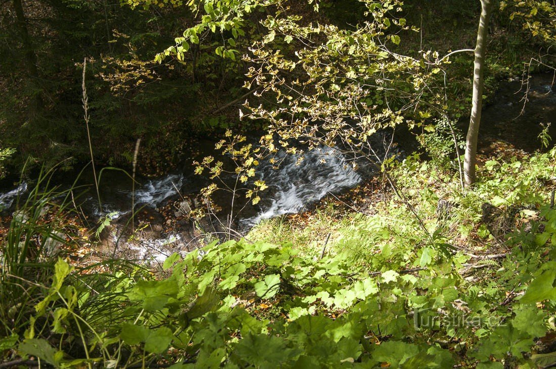 Cascate del torrente selvaggio