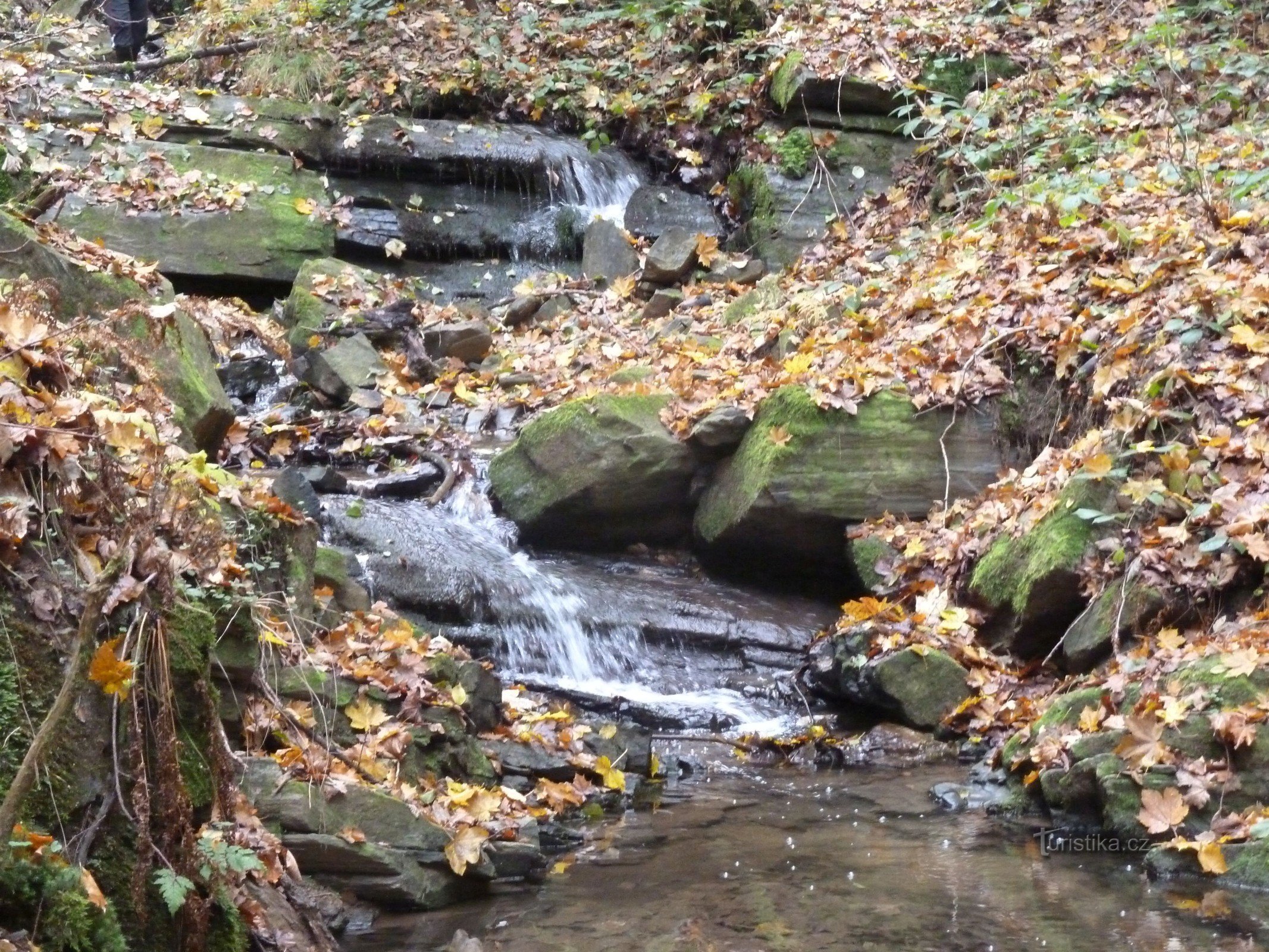 Kaskaden für den Herbst 2014