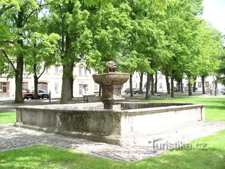 Fountain on the square