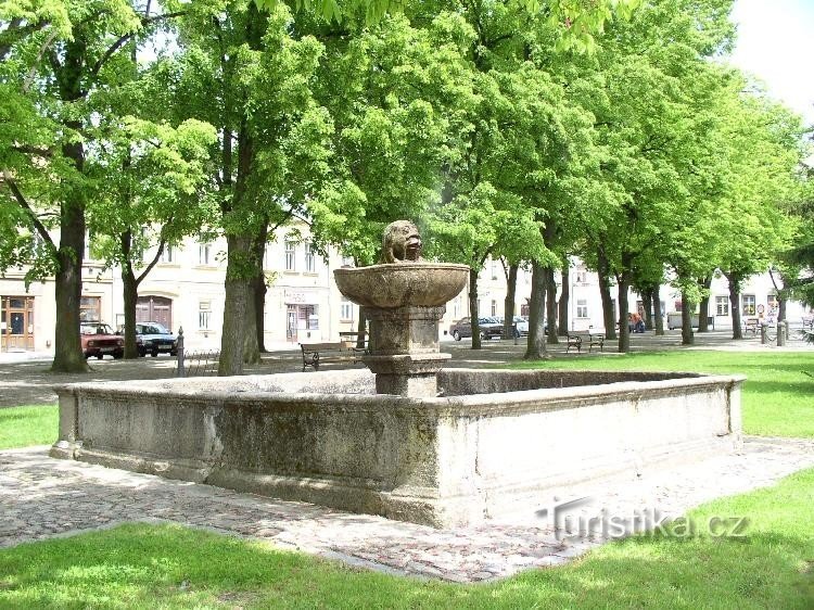 Brunnen auf dem Platz