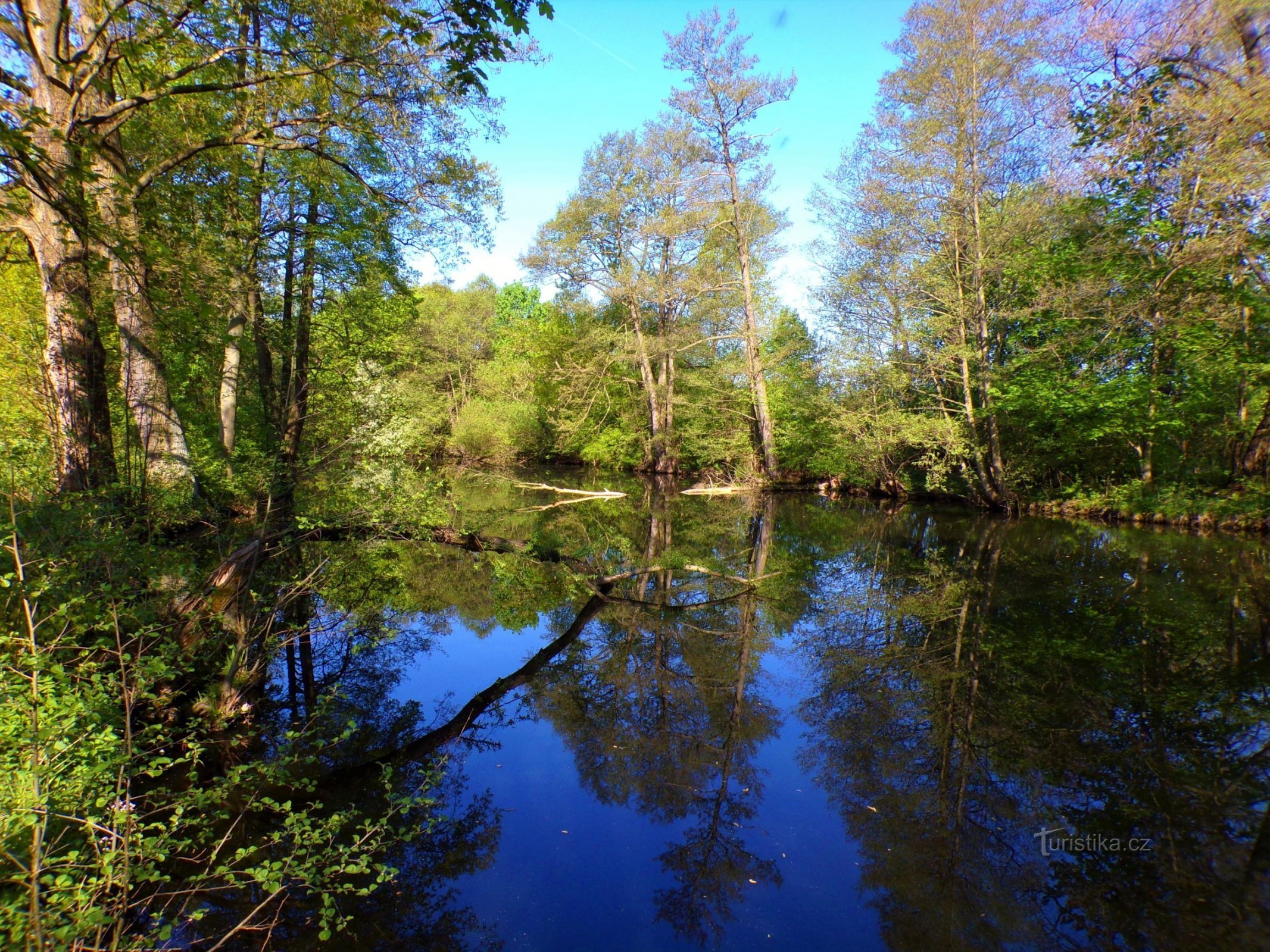 Lago de Kašpar (Hradec Králové, 10.5.2022)