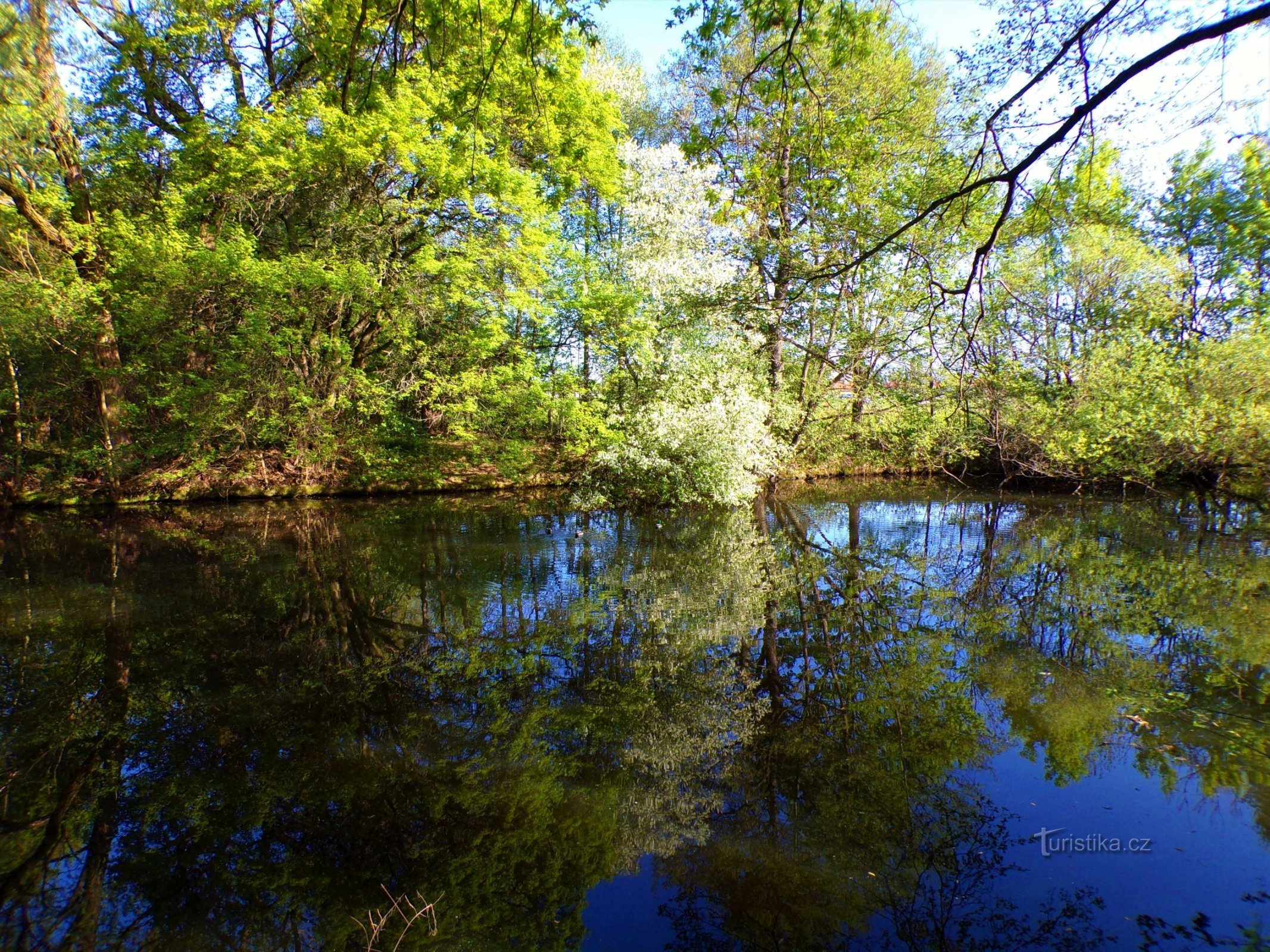 Kašpars sjö (Hradec Králové, 10.5.2022)