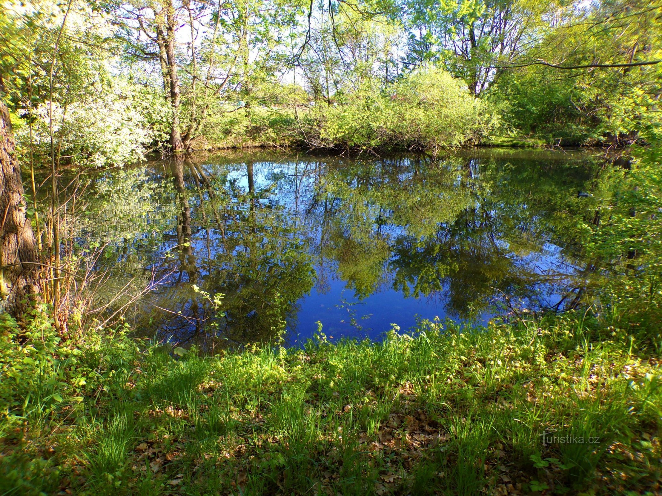 Het meer van Kašpar (Hradec Králové, 10.5.2022)