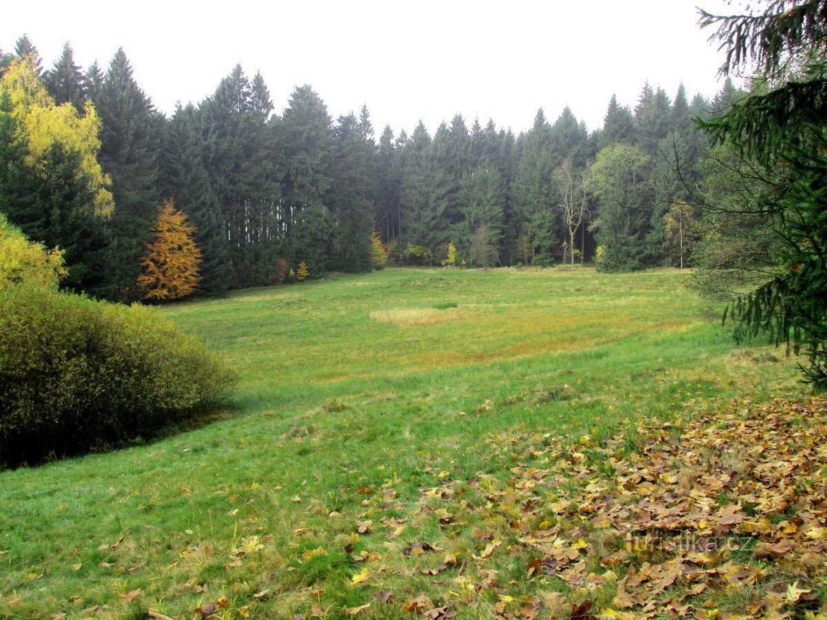 Nơi tiên nữ khiêu vũ về đêm. Luka Permonka, Thị trấn Mới ở Moravia.