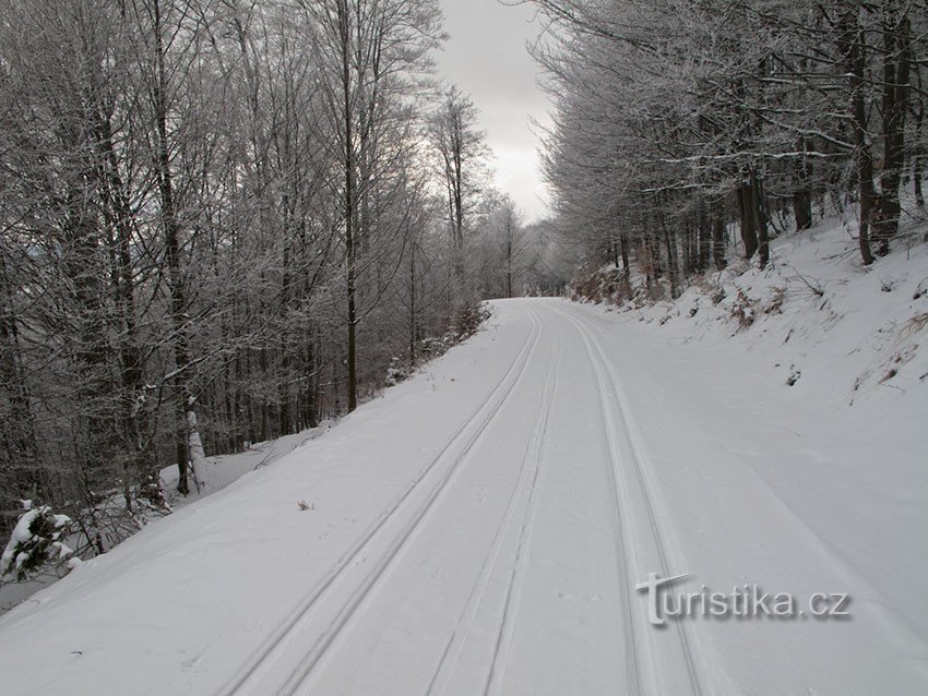 When there was new snow and a trail