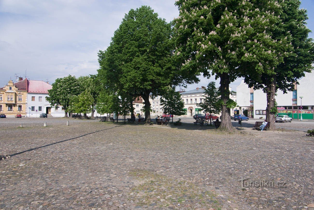 When there were big trees in the square