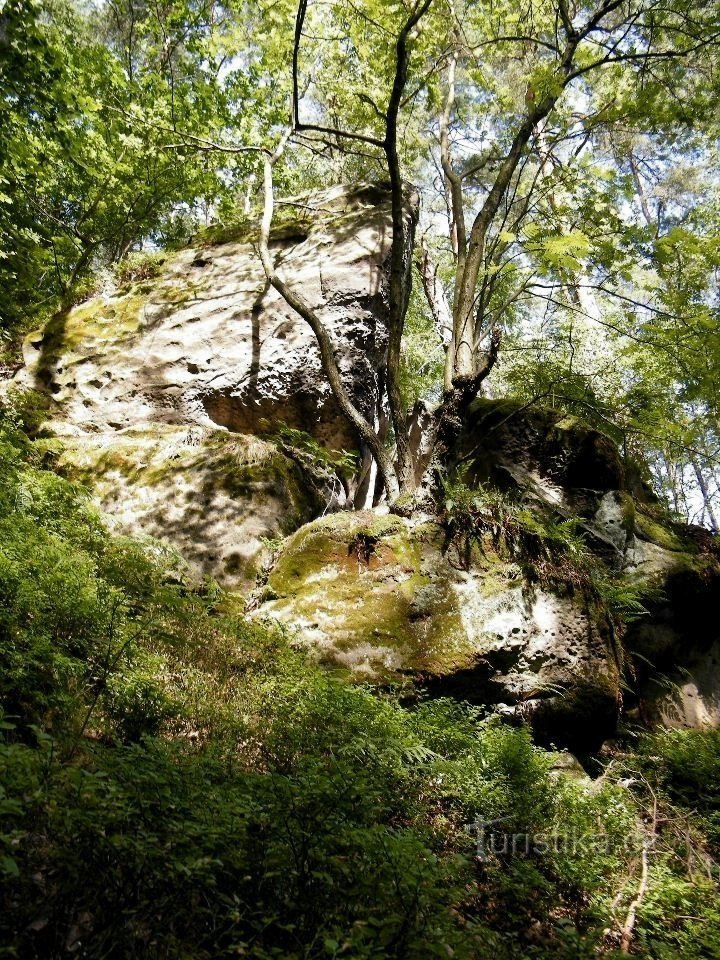 wenn ein Mensch eine Verschnaufpause braucht, macht er Fotos