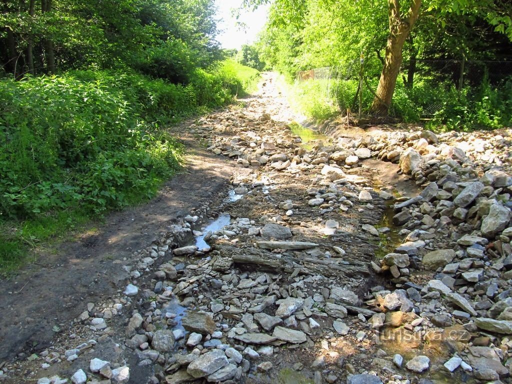 Zum Teich Skokanovský