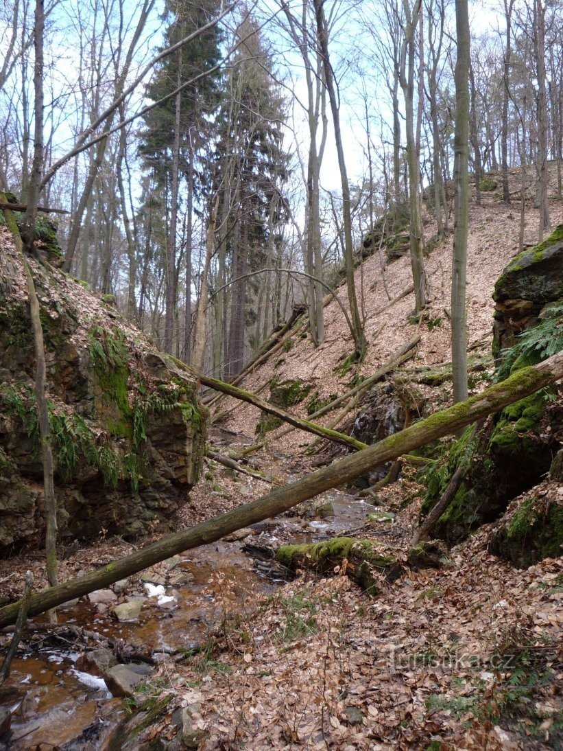 Kejná Rokle – a wilderness for children just outside of Prague