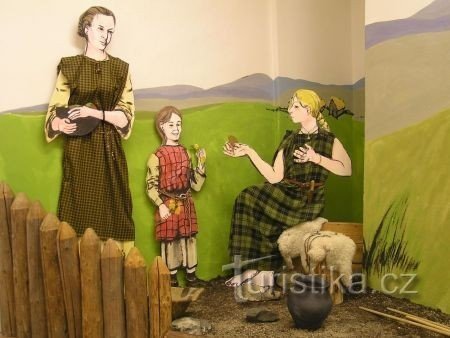 Expoziție celtică-Castelul Nasavrcky