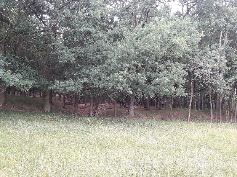 keltské čtyřúhelníkové valy