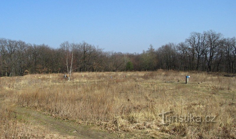 Oppidium celtyckie, Zazdrość w Zbraslav