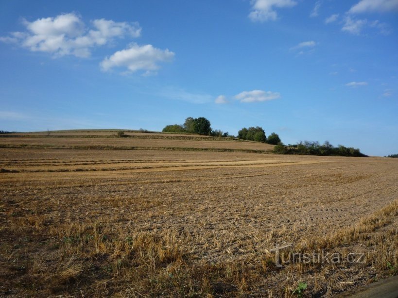 Keltische Wälle von der Straße