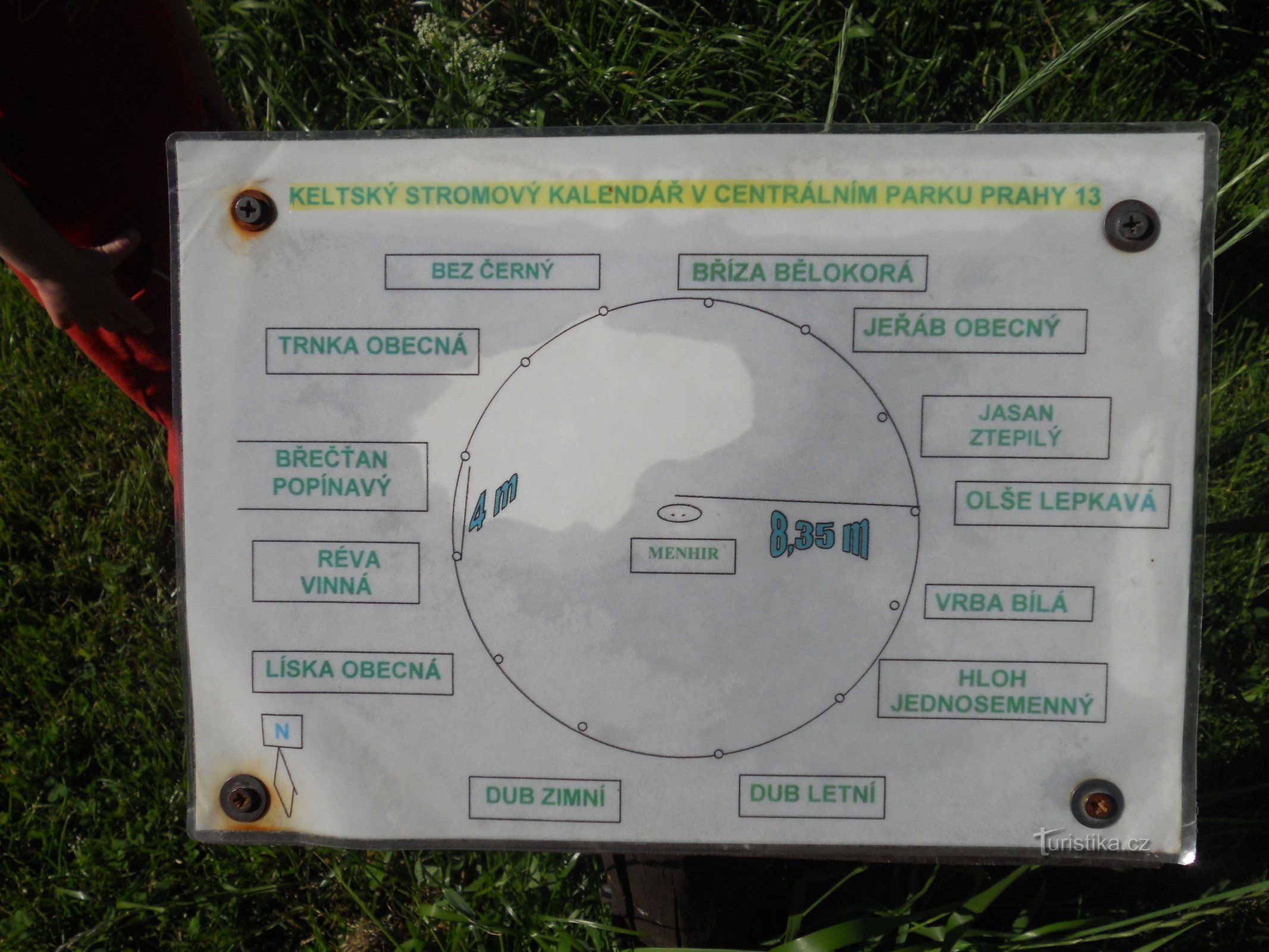 Calendrier arbre celtique Prague 13