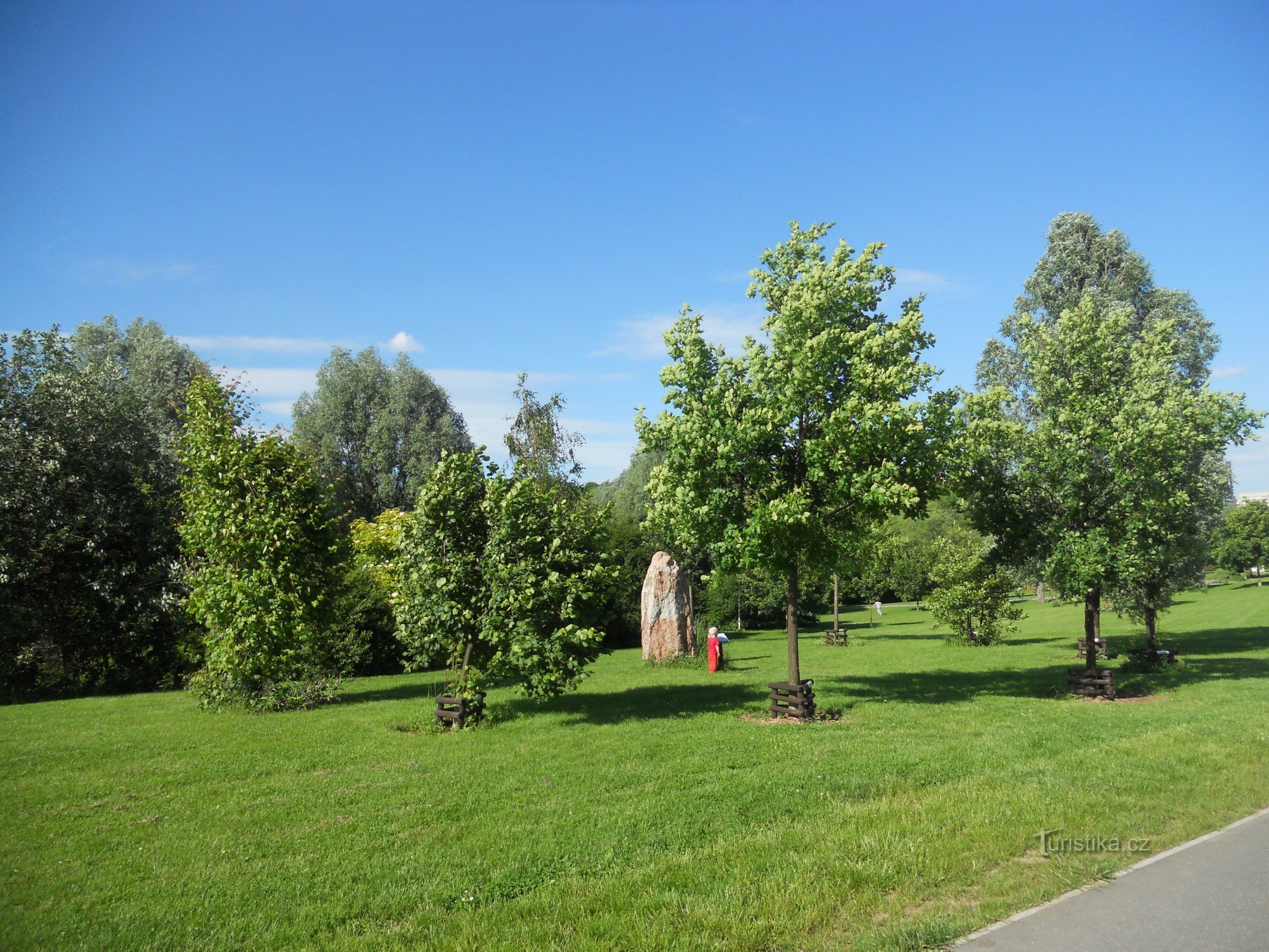 Calendarul arborelui celtic Praga 13