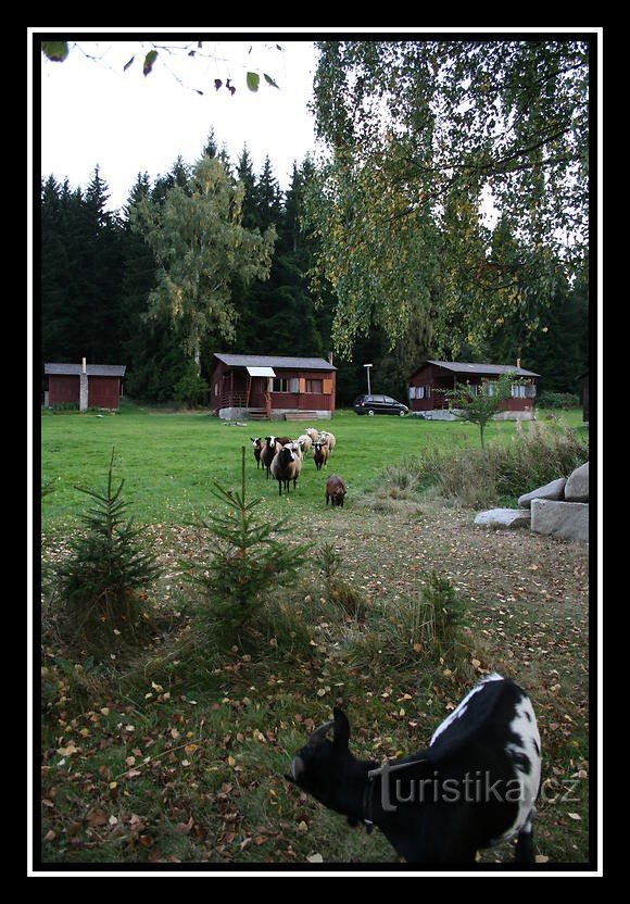 Kamp Úbislav-Ádova huisje nederzetting