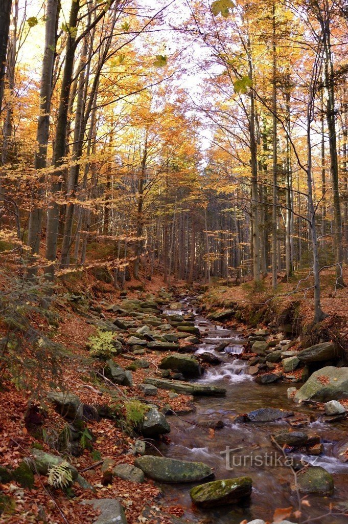 Flusso di Keprnice in autunno