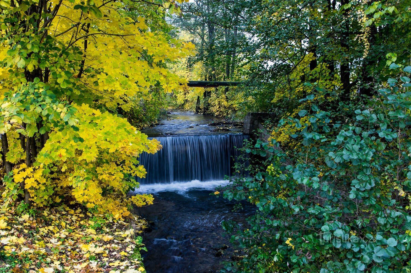 Keprnický stream near Cimbury