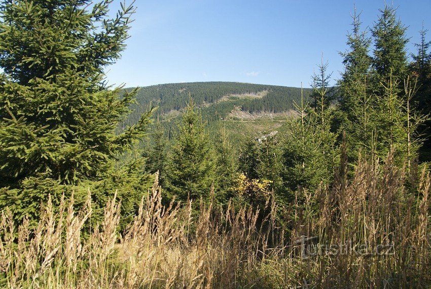 Kepernik do memorial