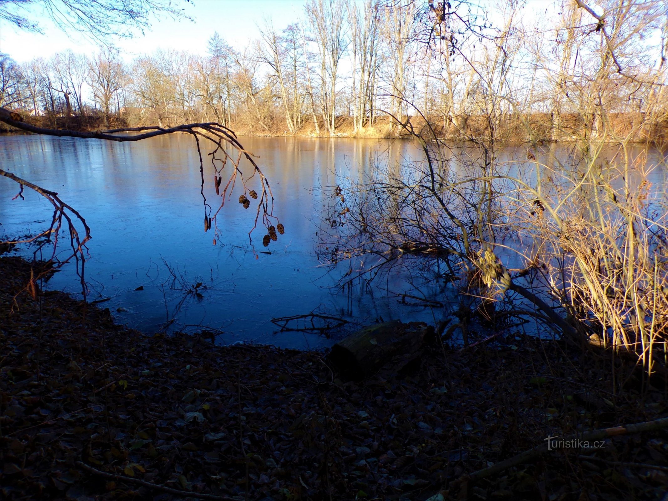 Keprtův rybník (Hradec Králové, 3.12.2021 decembrie XNUMX)