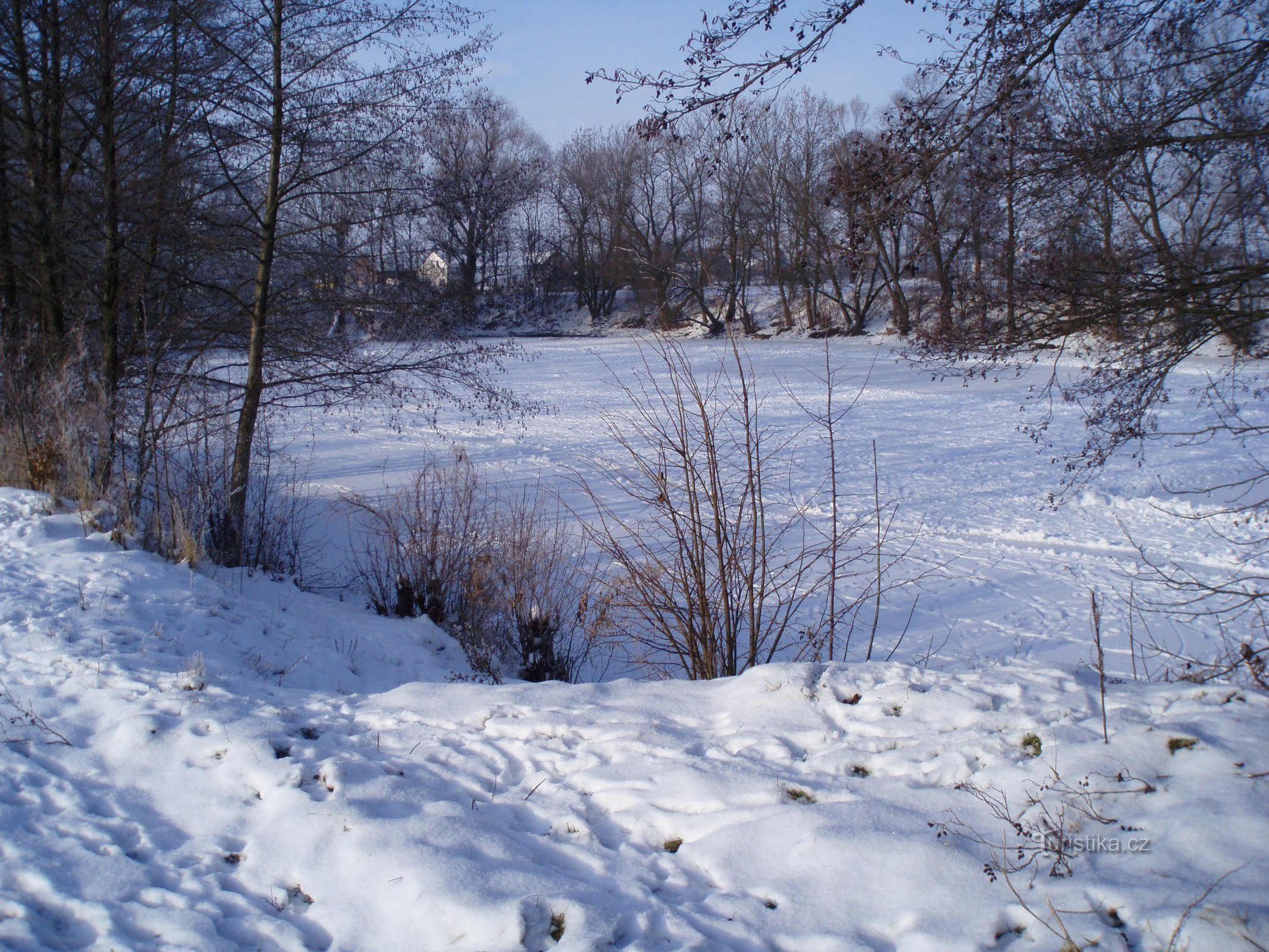 Keprtův rybník (Plotiště nad Labem)