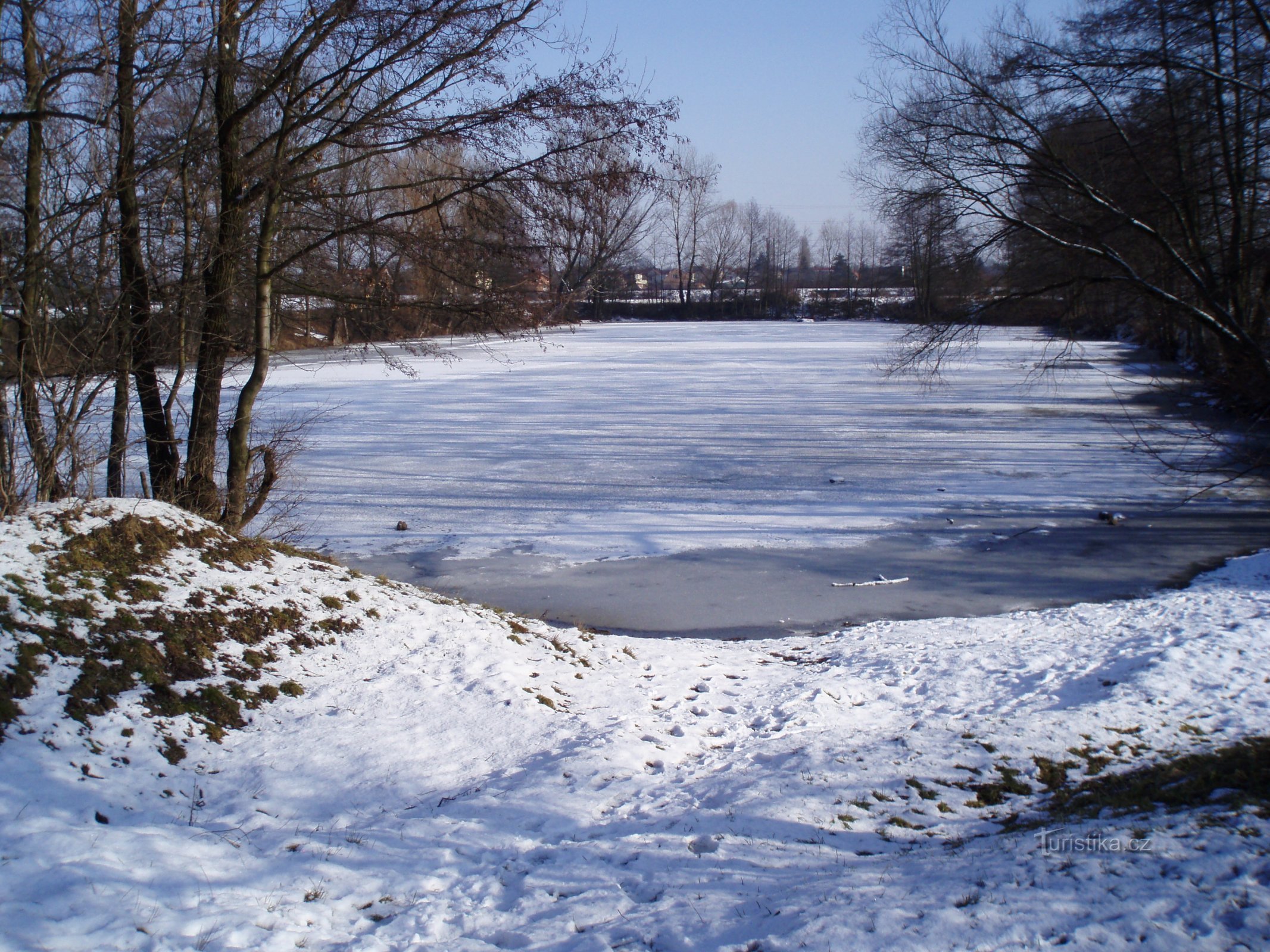 Keprtův rybník (Plotiště nad Labem)