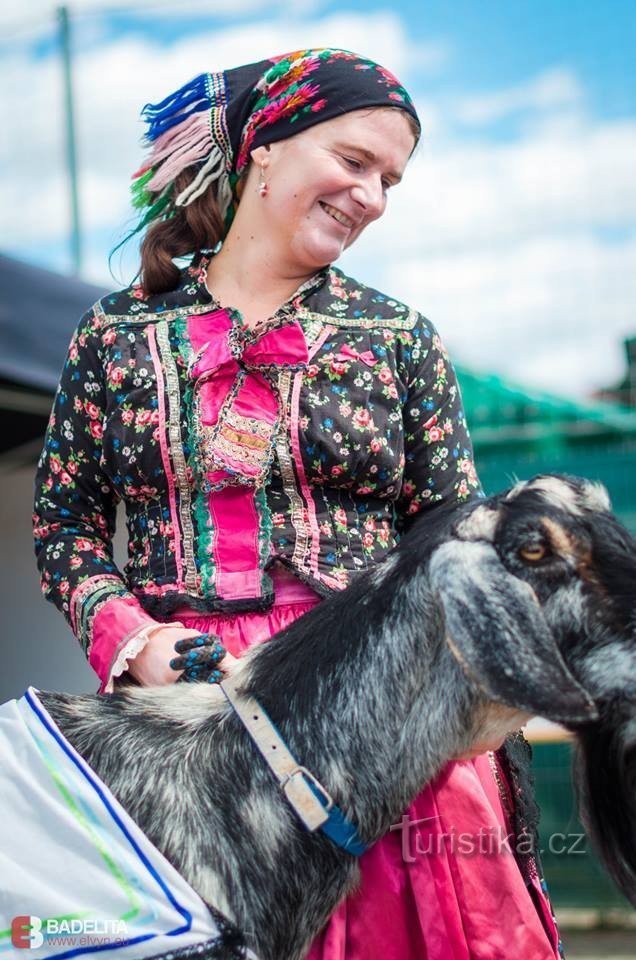 Kiritof - traditionel kroatisk fest