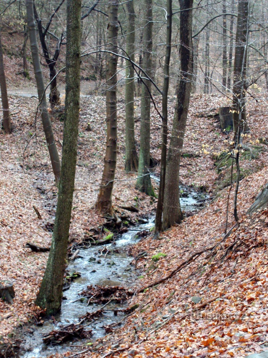 Kladecka valley