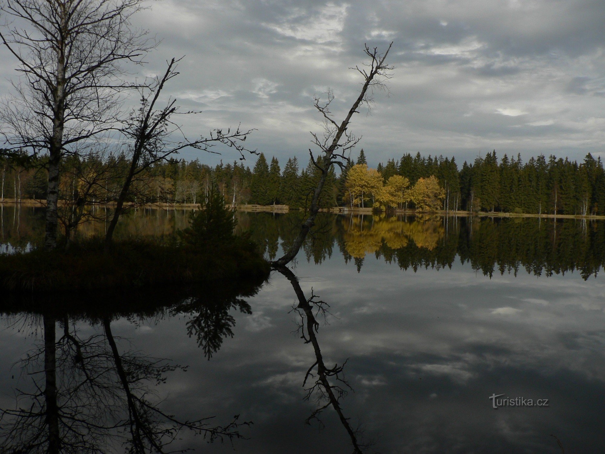 Kłodzka - torfowisko