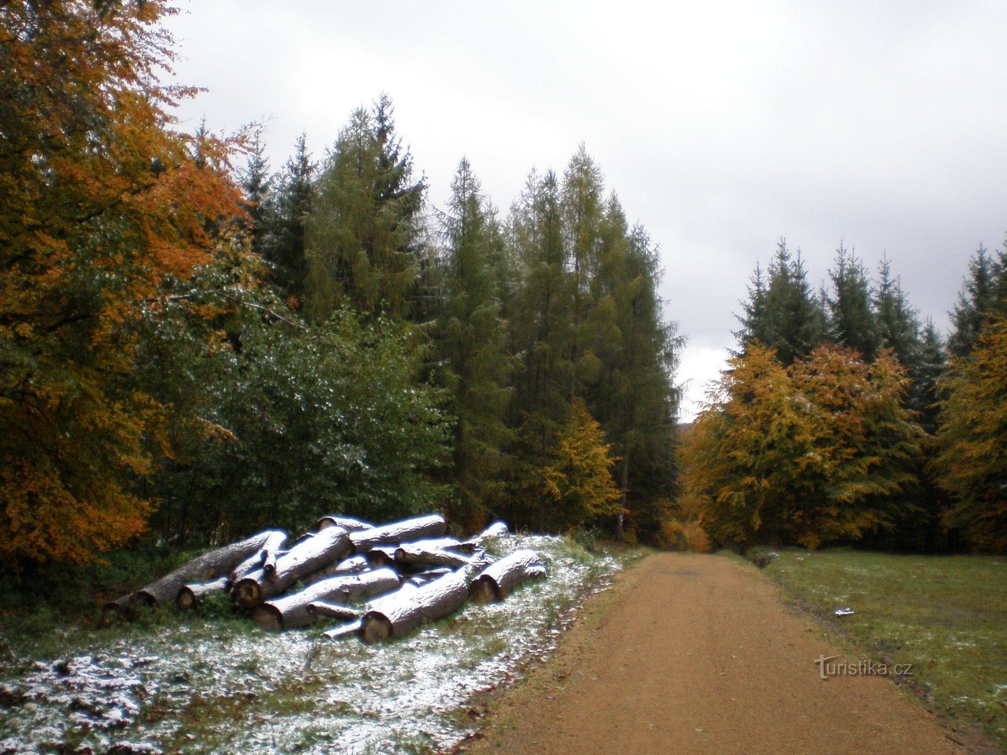 Baumstämme in der Nähe des Grüns bei Malé Vlastek