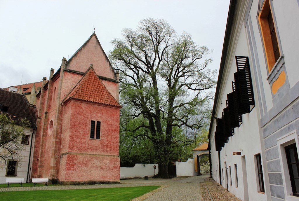 Zisterzienserkloster Zlatá Koruna