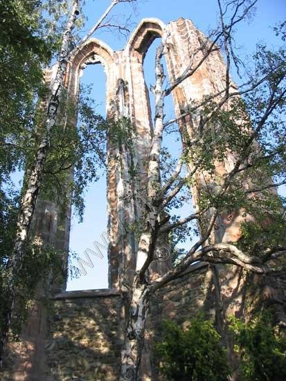 klášter minoritů s kostelem Nanebevzetí Panny Marie