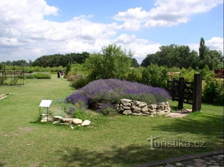 giardino del monastero