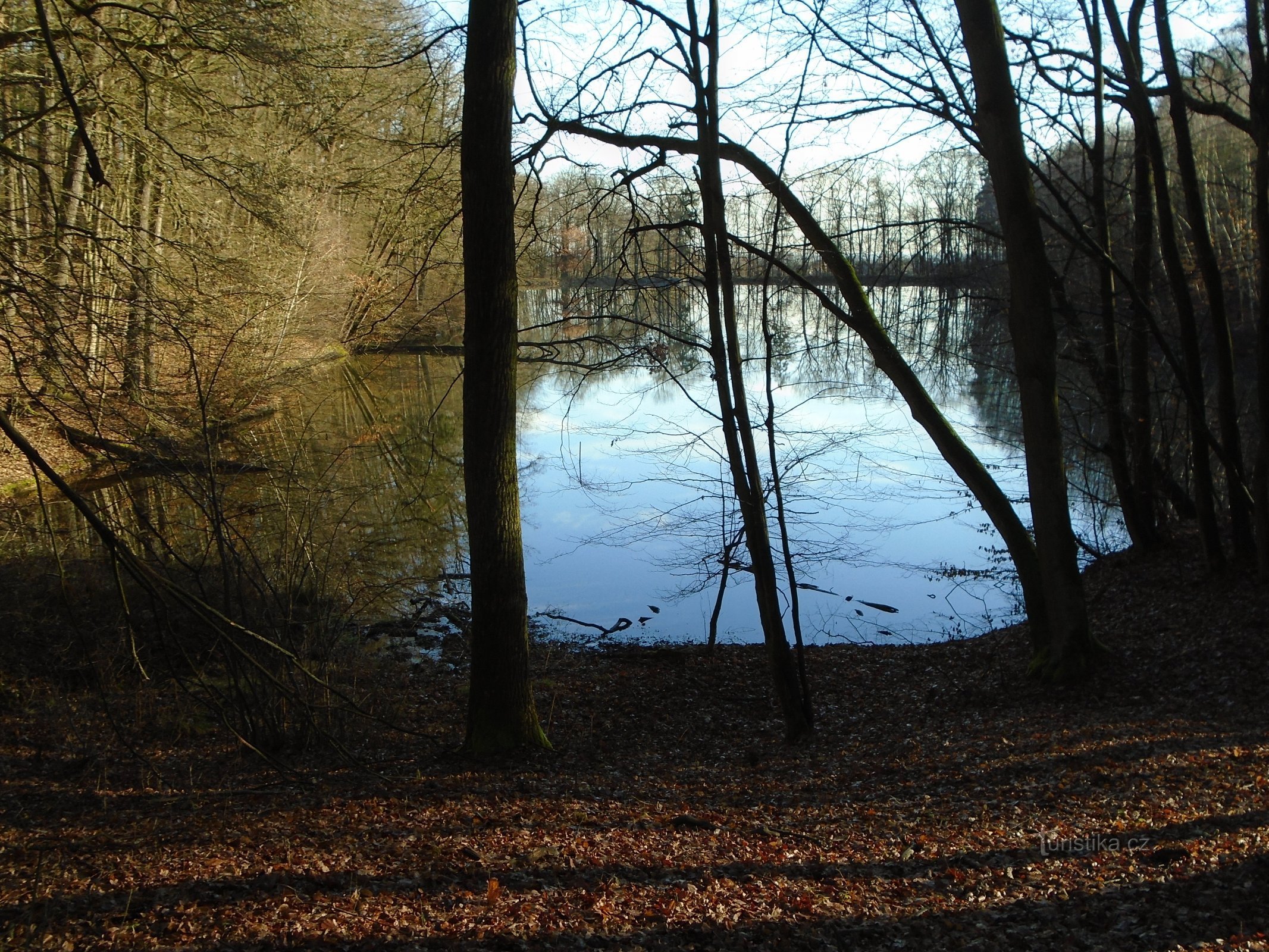 Klechtávecký pond (Rohoznice)