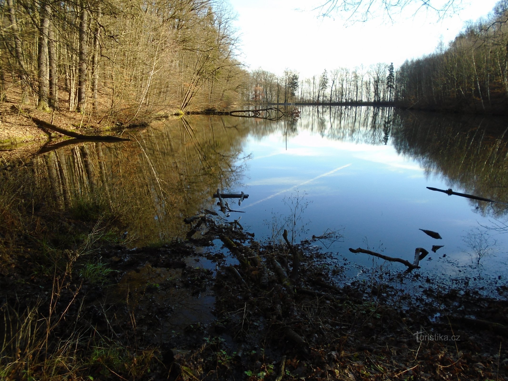 Klechtávecký pond (Rohoznice)