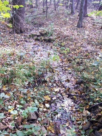 Klenos : vue sur le ruisseau