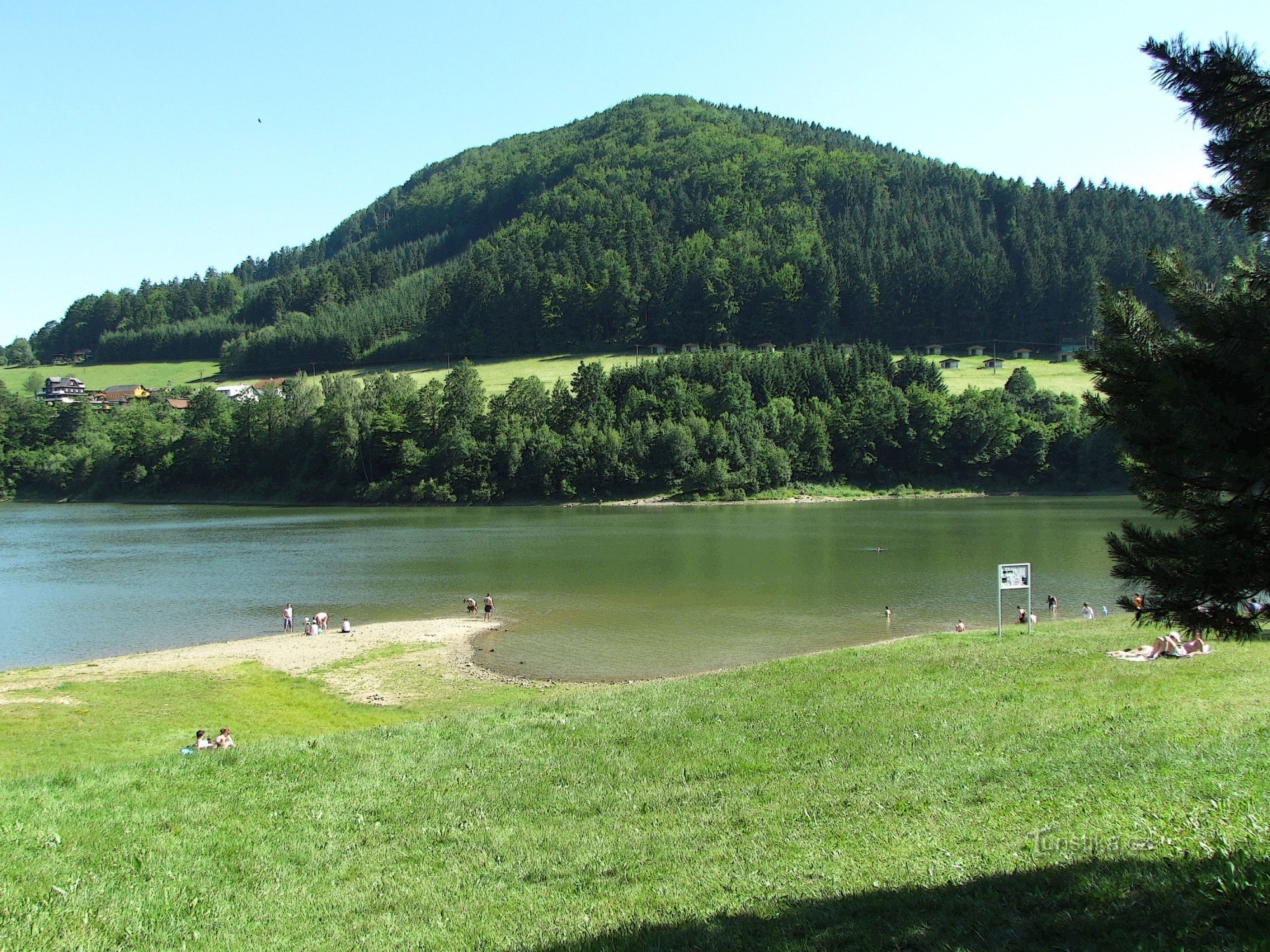 Klenov fra Bystrička-dæmningen