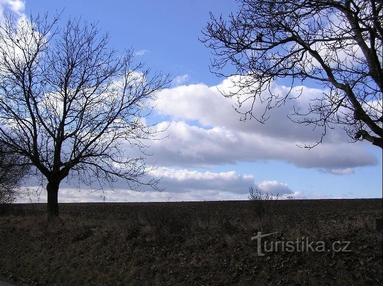 Cleşti: Hill