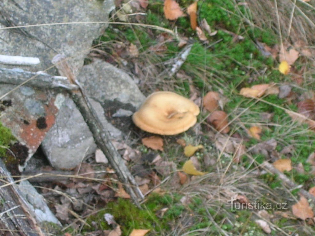 Nyckeln till landmärket i Lusatian Mountains