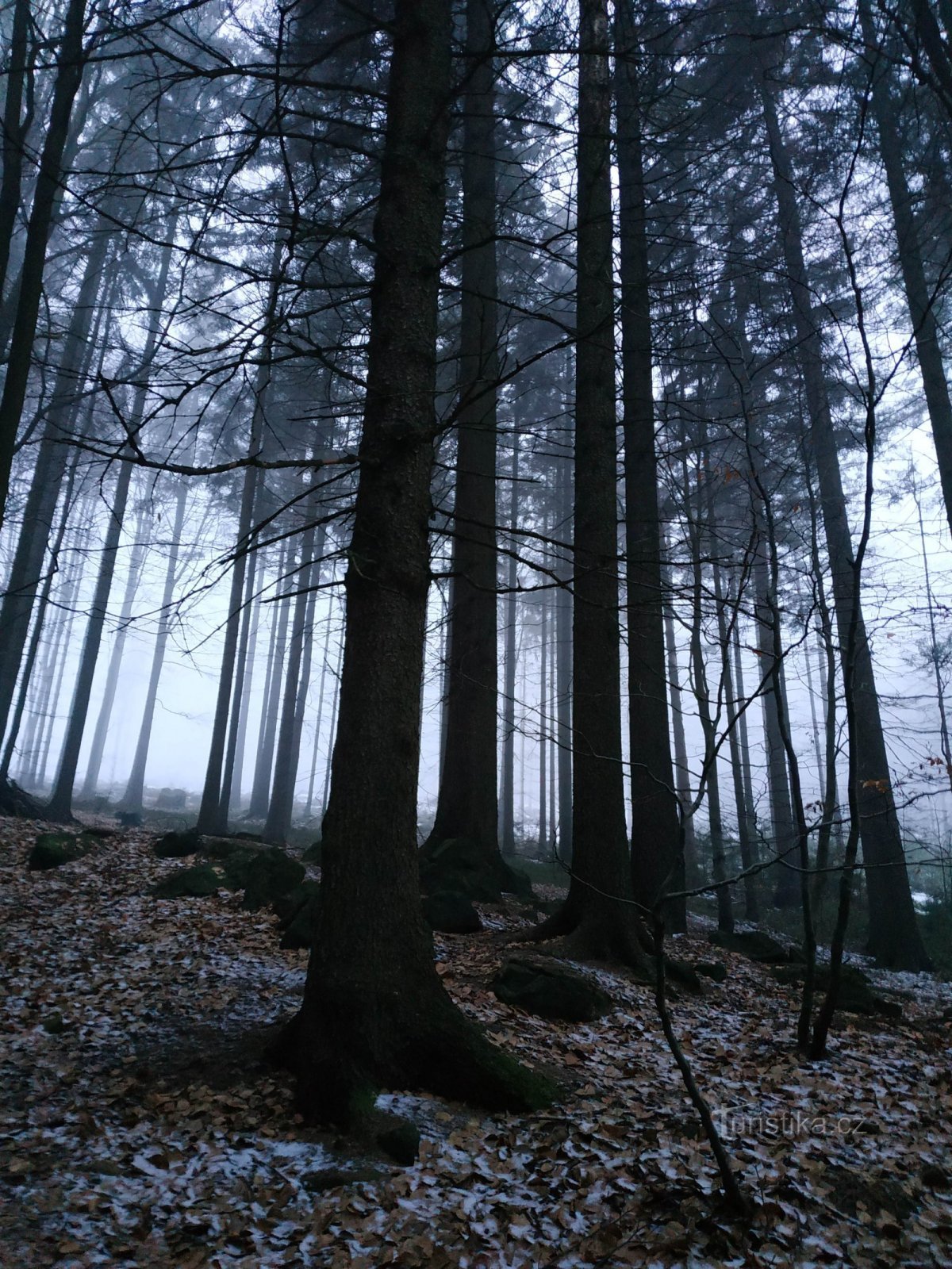 Železniška proga Klíč-Rousínov-Jedlová