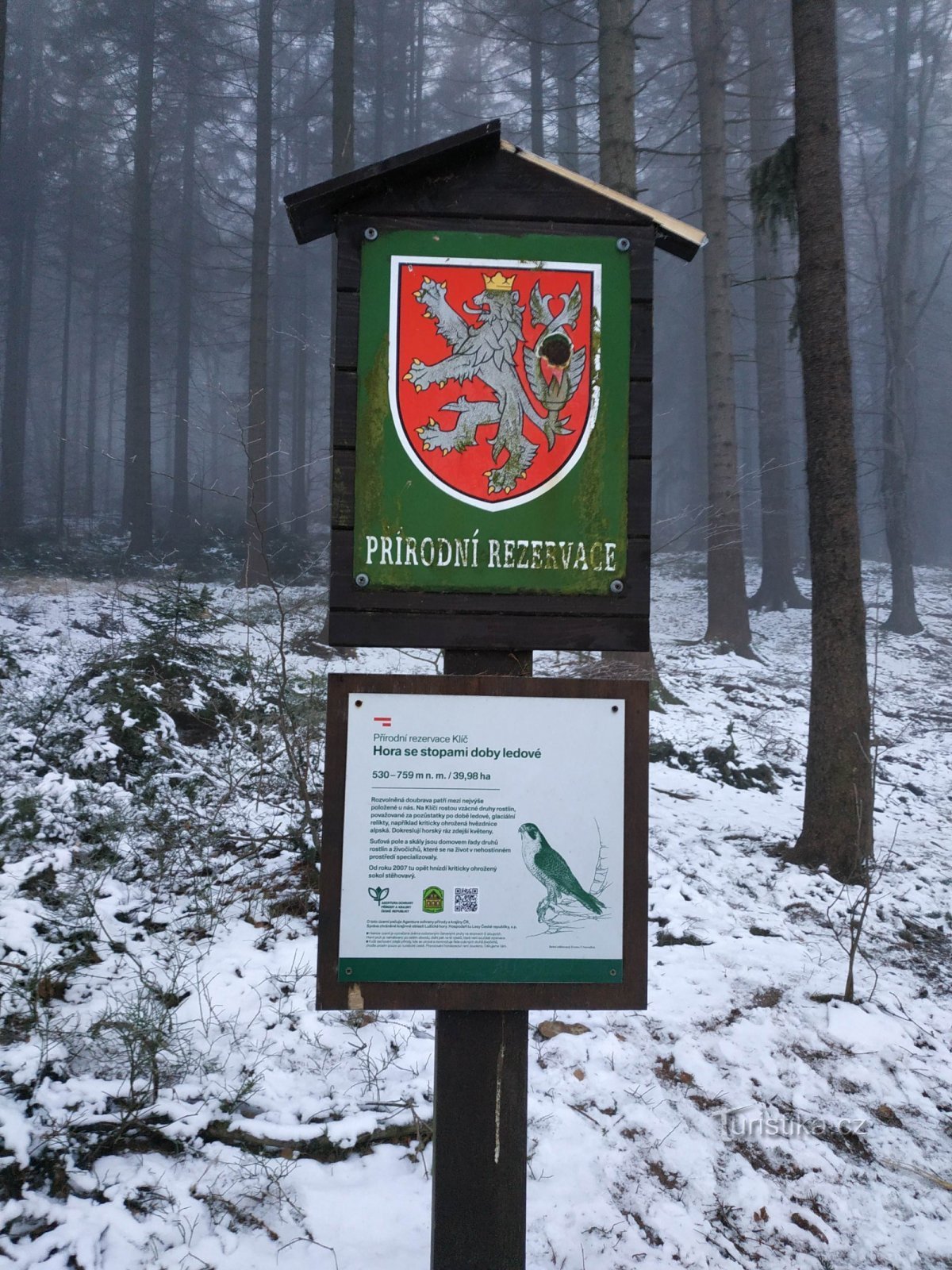 Železniška proga Klíč-Rousínov-Jedlová