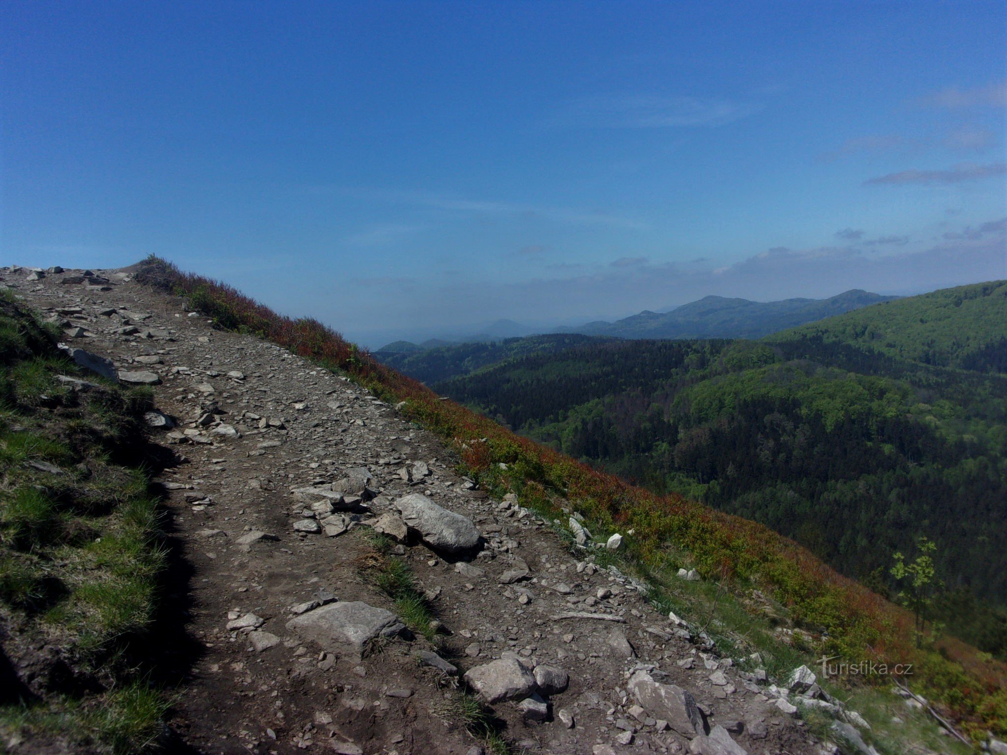 Schlüssel - Große Buche - Fichtenholz.