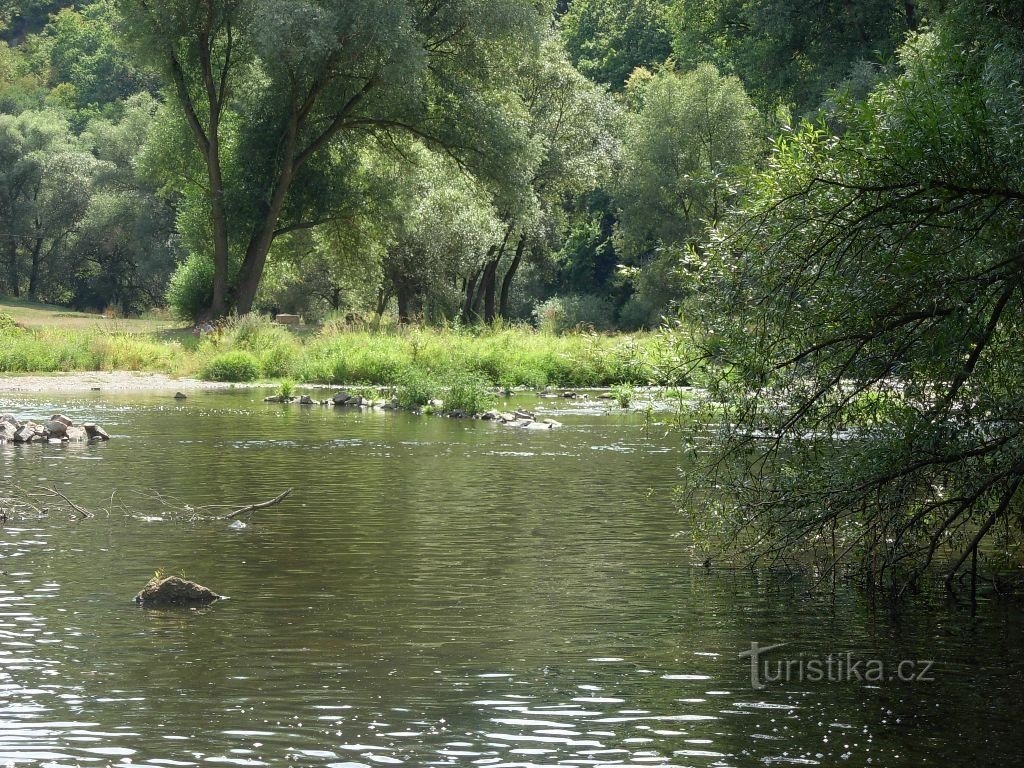 A superfície calma do rio raso, perfeita para nadar