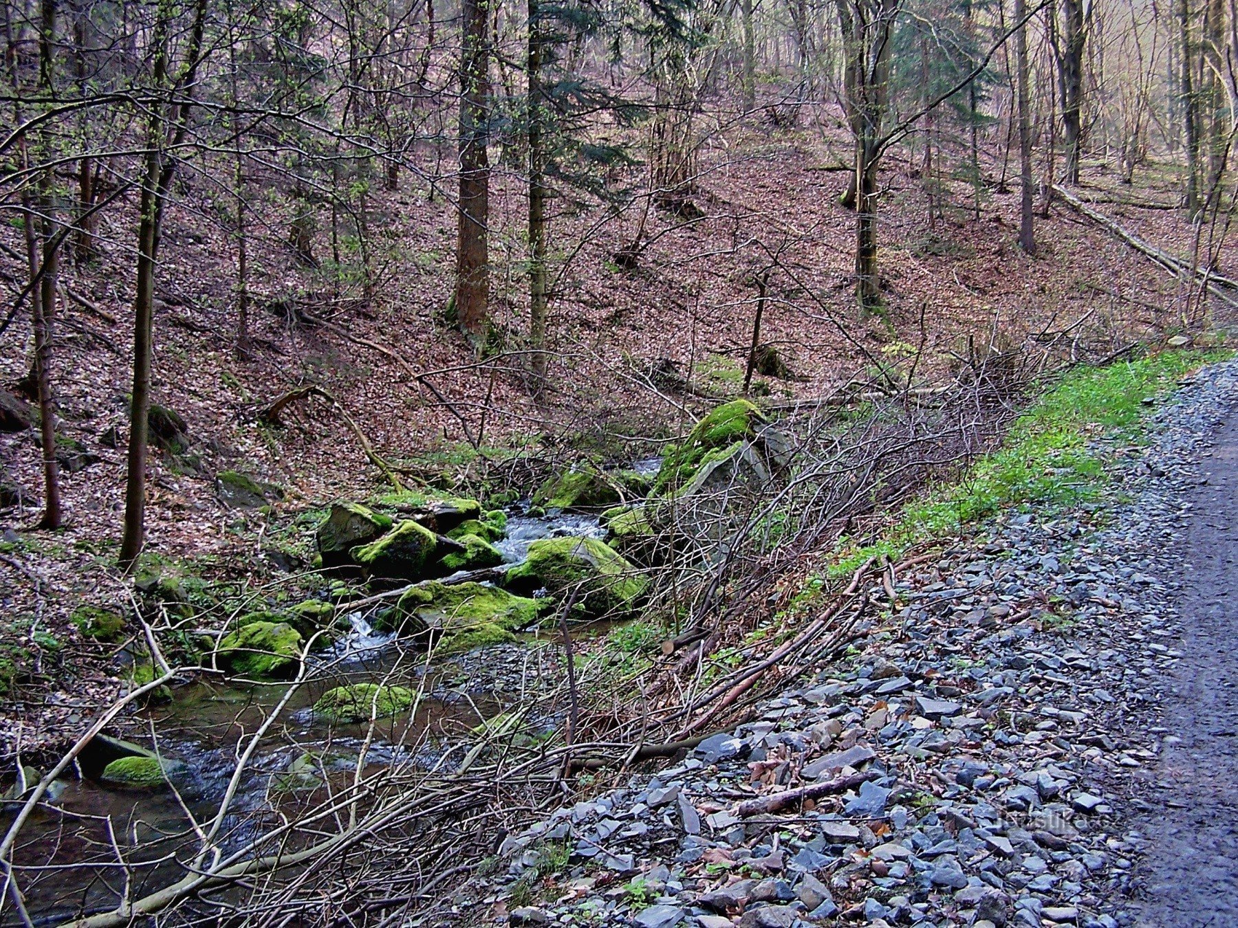 Un arroyo sinuoso en el área de Libavé cerca de luboměř pod Strážnou