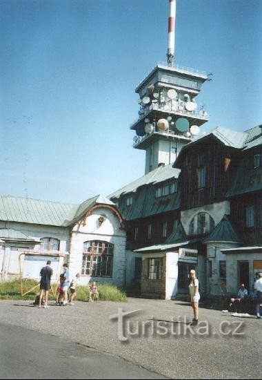 Klinowiec