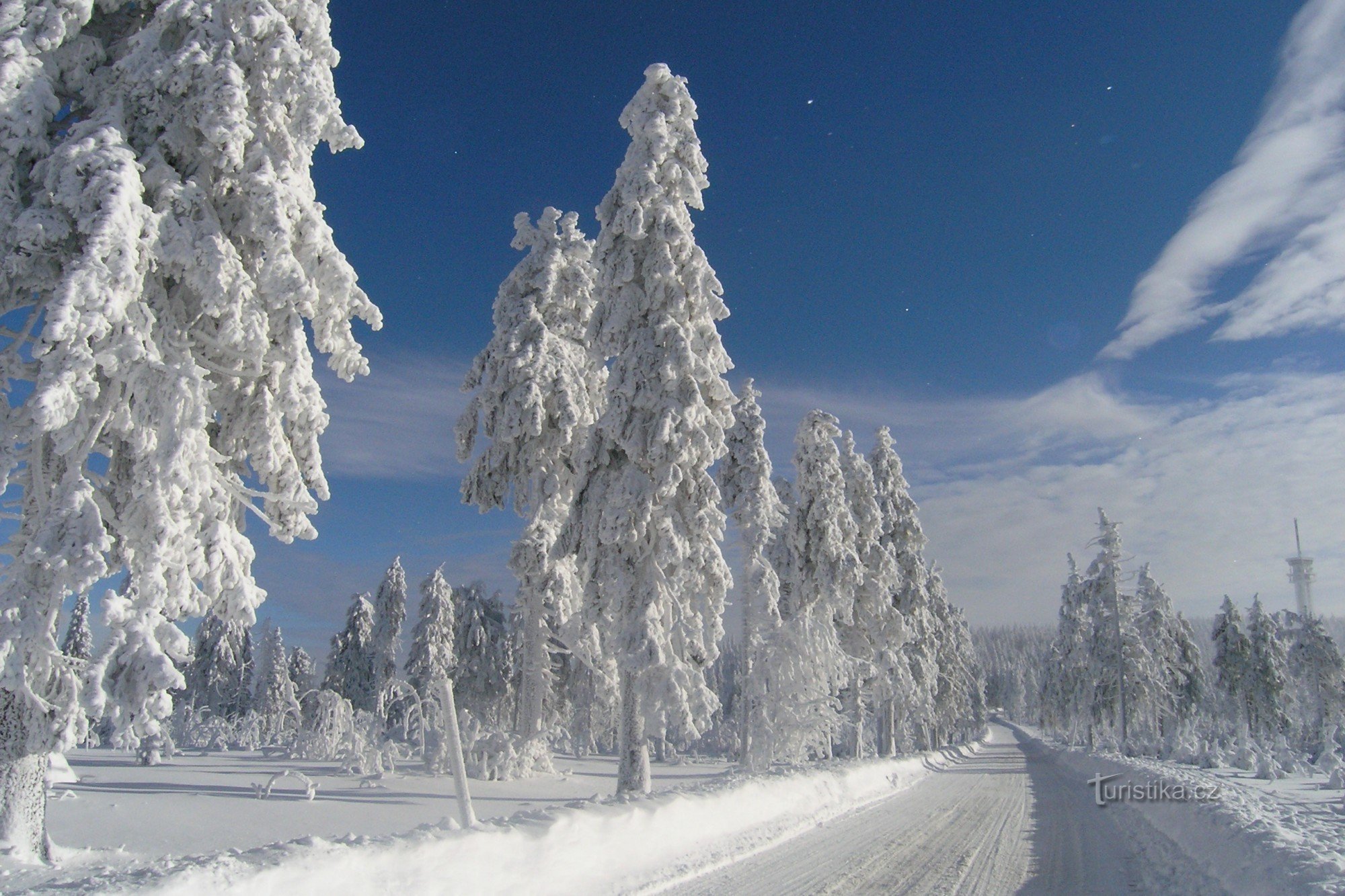 Клиновець