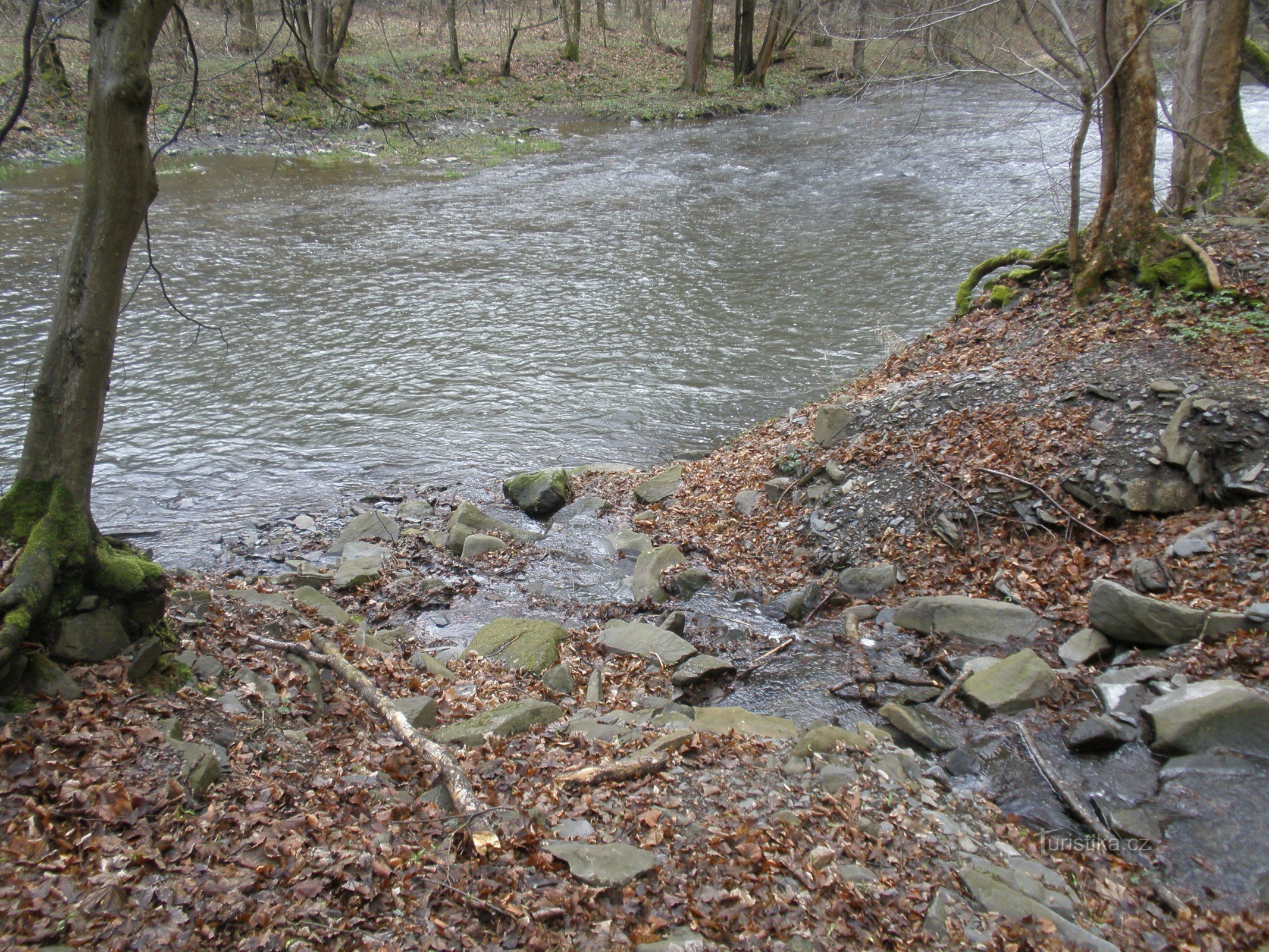Klokočov, Mündung des Čertova potok in die Oder