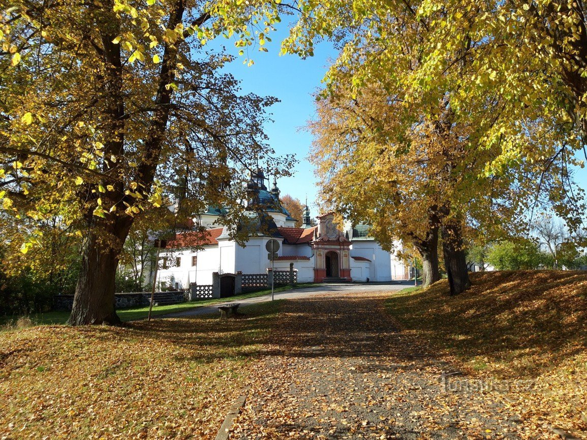 Gurglande vatten eller gurglar växer nära Tábor